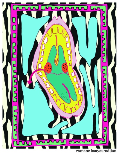 [RODLAN-FDAC] François Ducrot - Ladybird Cinsault  Bio / Natuurwijn